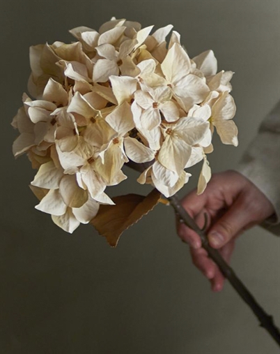 Bloomingville - Hydrangea Stilk, Natur, Kunstige Blomster